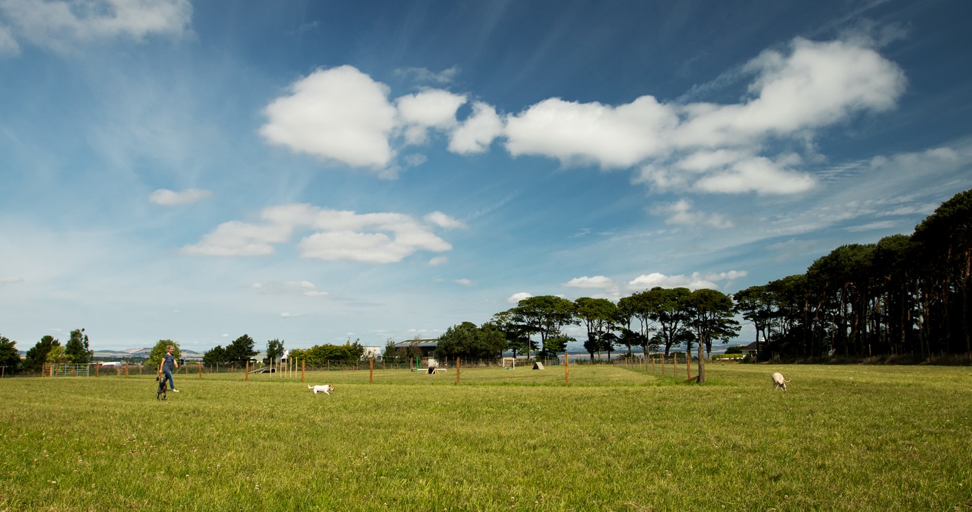 St Andrews Dog Run, book time on our website.