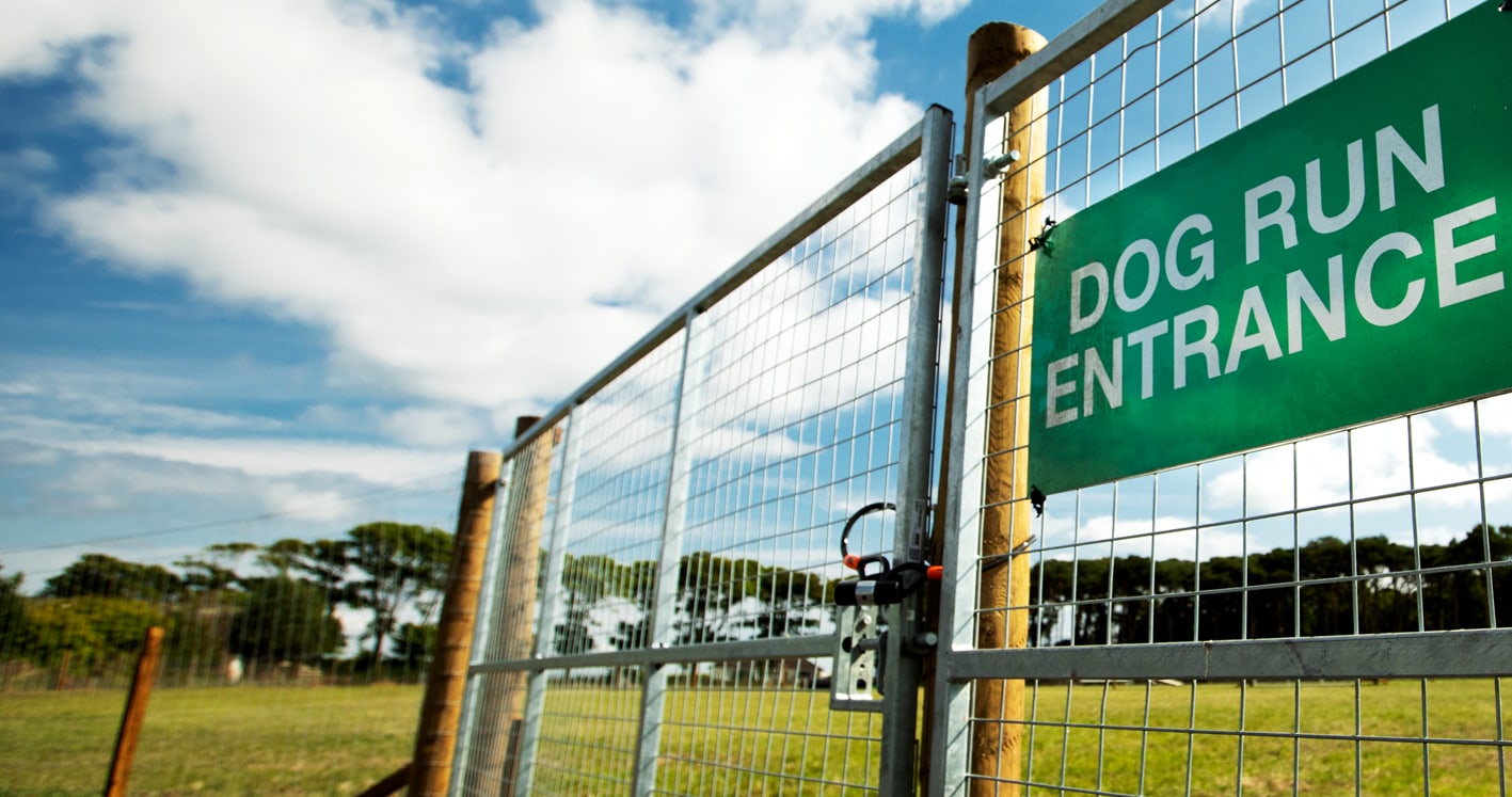 St Andrews Dog Run, book time on our website.