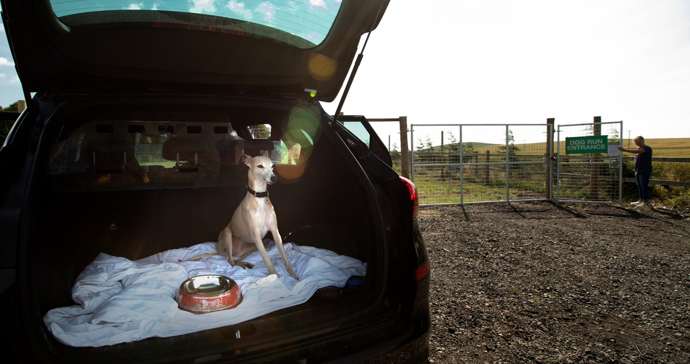 St Andrews Dog Run, book time on our website.