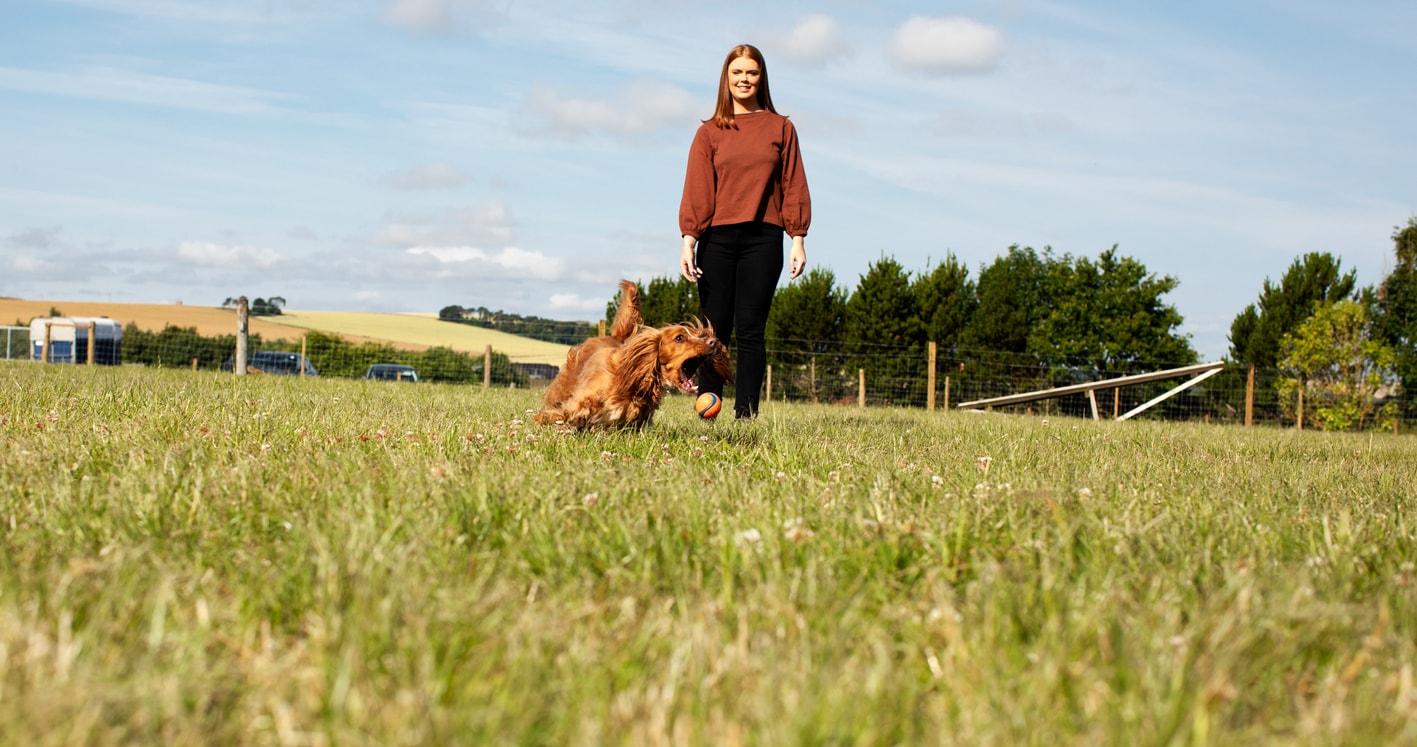 St Andrews Dog Run, book time on our website.