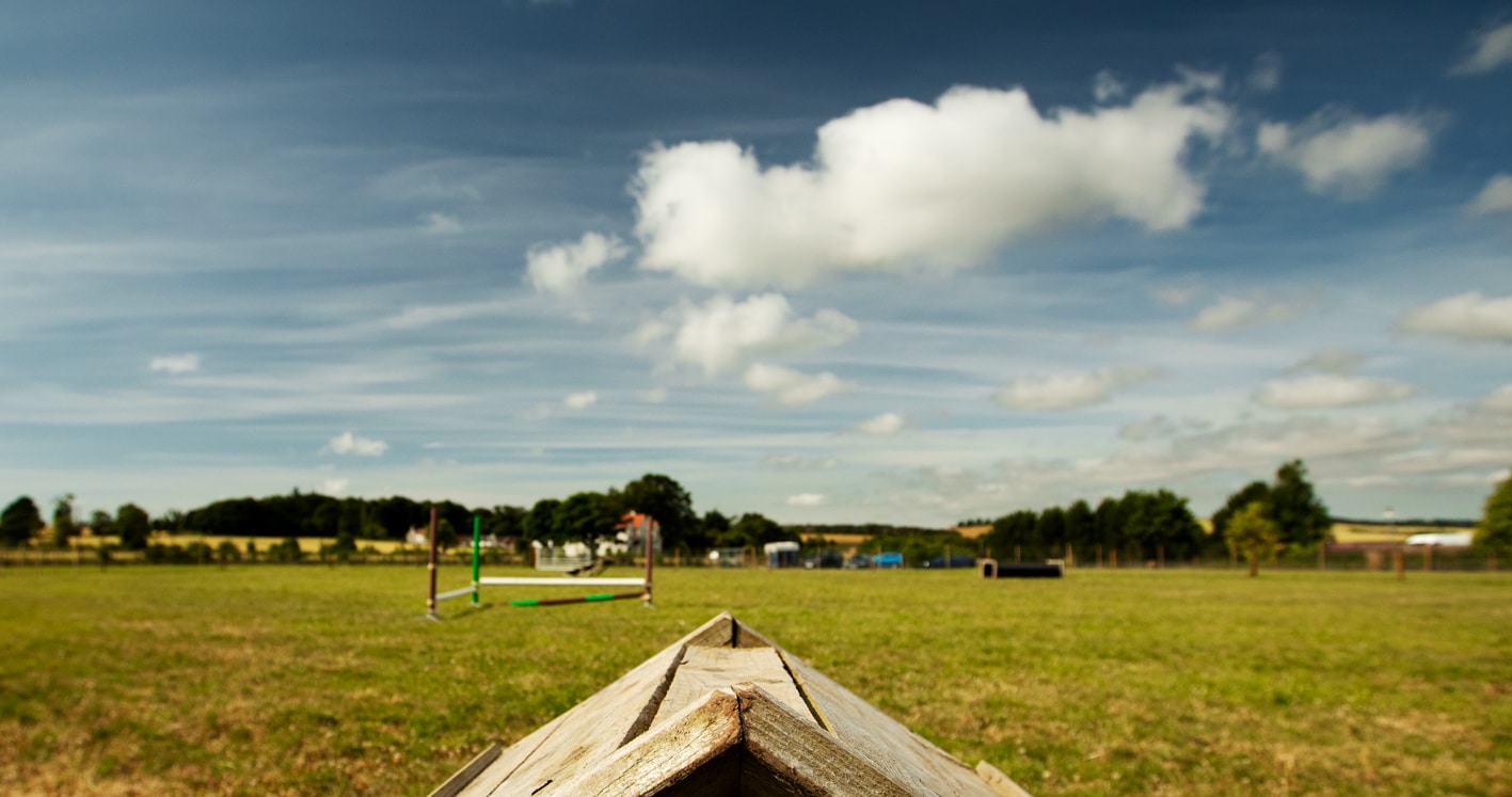 St Andrews Dog Run, book time on our website.