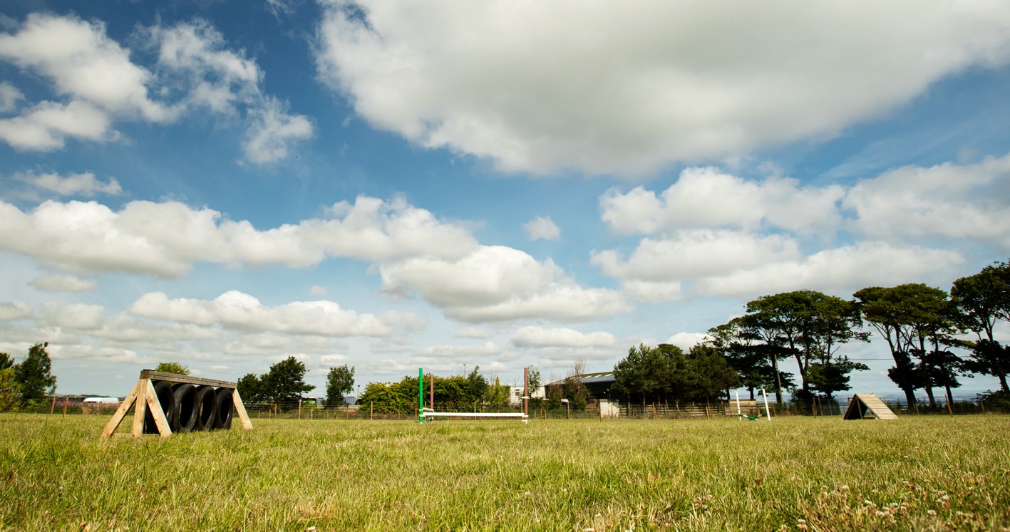 St Andrews Dog Run, book time on our website.