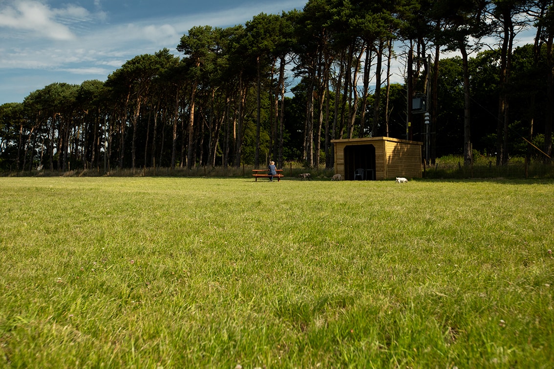 St Andrews Dog Run, book time on our website.