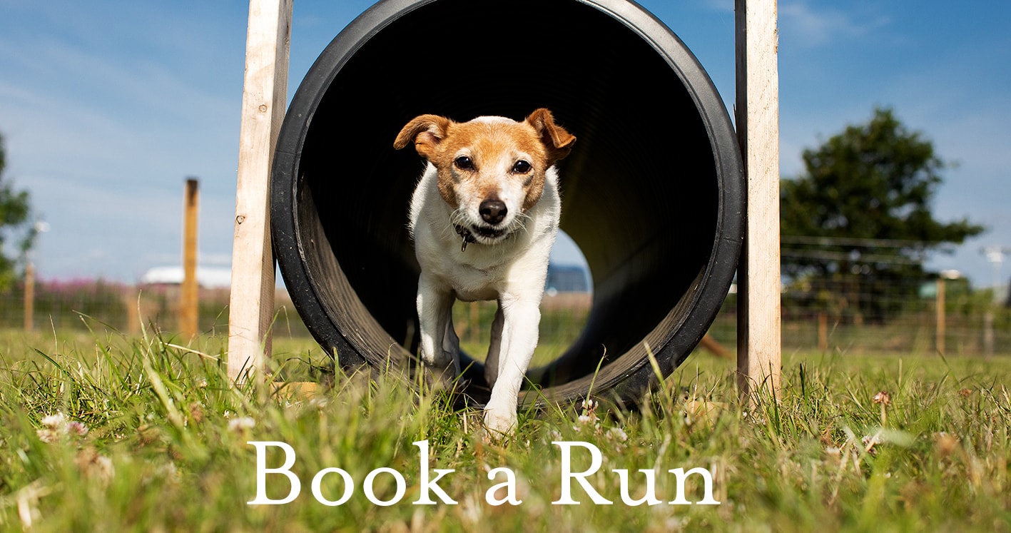 St Andrews Dog Run, book time on our website.