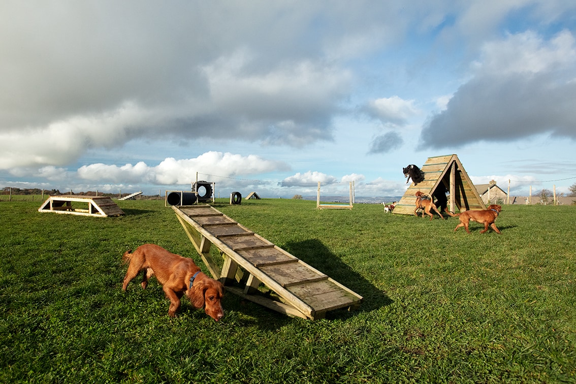 Bonnyton Farm Doggie Daycare, Kennels and Dog Runs.