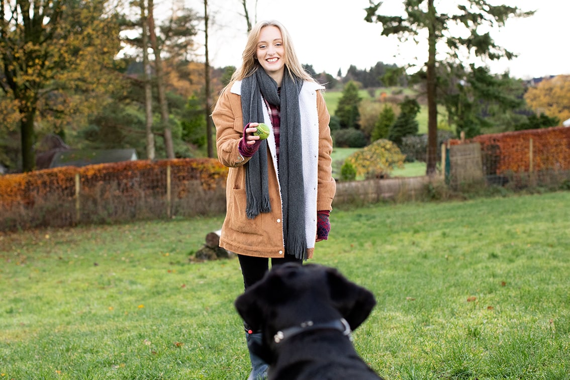 Bonnyton Farm Doggie Daycare, Kennels and Dog Runs.